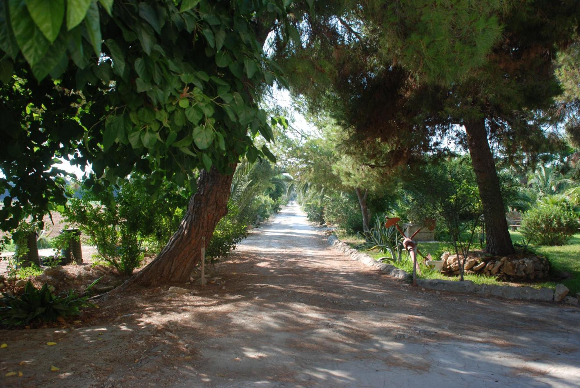 Terrauzza Sul Mare Di Renata Emmolo Διαμέρισμα Συρακούσες Εξωτερικό φωτογραφία